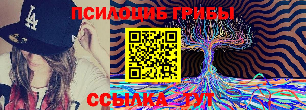 Рассказово  Псилоцибиновые грибы MAGIC MUSHROOMS  Вход с VPN 
